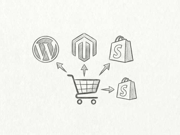 Platform Expertise (WooCommerce, Magento, Shopify)